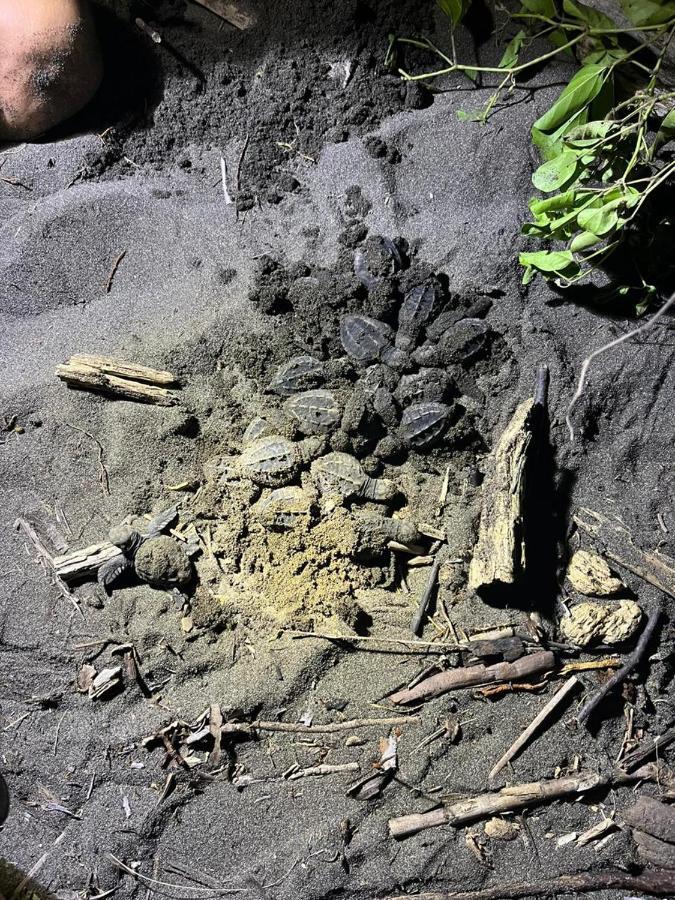 Chambre Independante Chez L'Habitant Parrita Dış mekan fotoğraf